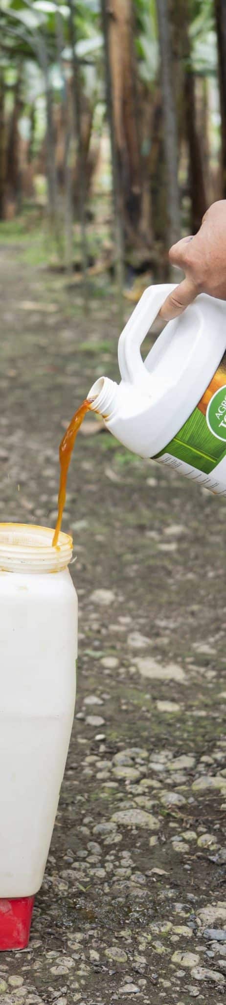 AGEARTH_GYE2__233 AGEARTH_GYE2__233