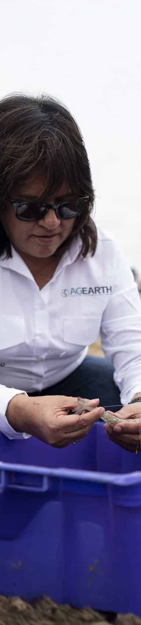 AGEARTH_SGYE1__377 AGEARTH_SGYE1__377